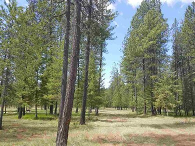 2600 Blk Hogan's Way, Chewelah, WA 99109 - photo 3