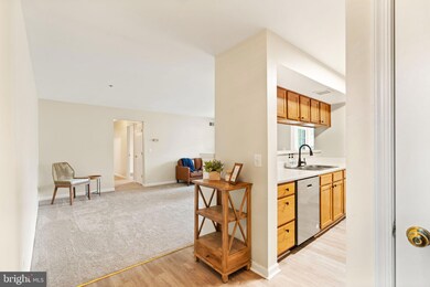 3570 Sherbrooke Cir unit 202, Woodbridge, VA 22192 - photo 7