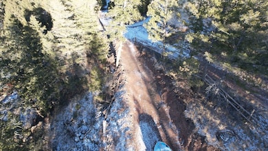 0 Tbd N Shoreline Dr unit LotWP001, Salmon, ID 83467 - photo 5