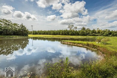 10873 State Highway Mm, Dixon, MO 65459 - photo 2