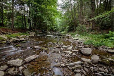 895 Lundy Rd, Wawarsing, NY 12489 - photo 4