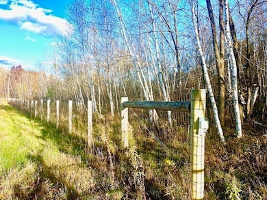 3181 County Rd Q, Forest Township, WI 54005 - photo 7