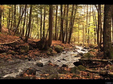 3226 Grenell Rd, Middle Grove, NY 12850 - photo 7