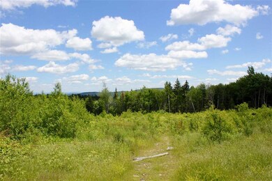 0 Valley View Extension unit 10 4846036, Andover, VT 05143 - photo 6