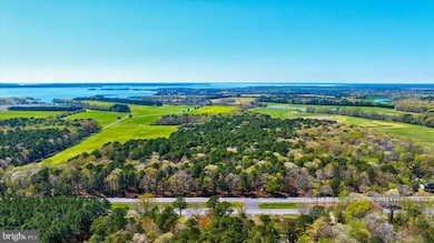 29031 Howell Point Rd, Trappe, MD 21673 - photo 4