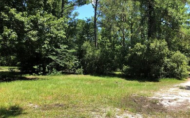 TBD Nikita Place, Lake City, FL 32055 - photo 2