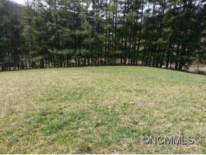 396 Browntown Rd, Leicester, NC 28748 - photo 3