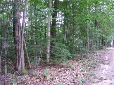 00 Spitzen St unit 109, Moultonborough, NH 03254 - photo 7