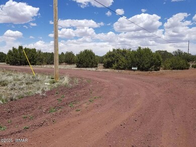 0 Cr 8026, Concho, AZ 85924 - photo 2