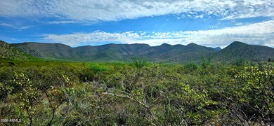 Lots 3 & 4 S Lonesome Dr unit 3, Hereford, AZ 85615 - photo 3
