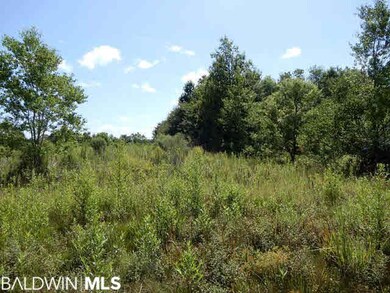 12 Old Ship Cir, Atmore, AL 36502 - photo 7