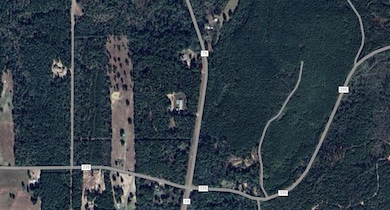 4890 Fm 19, Palestine, TX 75803 - photo 2