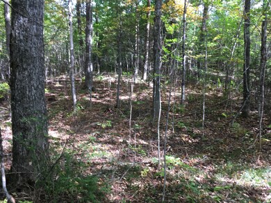 19-X Streamview Dr, Harmony, ME 04942 - photo 6