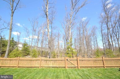 42350 Equality St, Chantilly, VA 20152 - photo 3