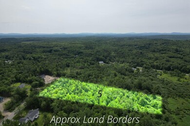 Lots 3 & 5 Grant Rd, Orono, ME 04473 - photo 3