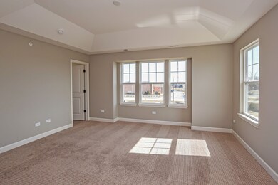 1114 E Bauer Rd, Naperville, IL 60563 - photo 5