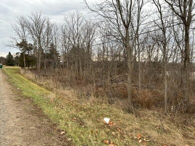 00 M-71, Durand, MI 48429 - photo 5