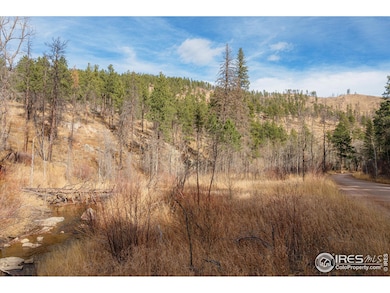 0 Cougar Dr unit 1048067, Bellvue, CO 80512 - photo 2