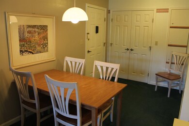 167 Deer Park Dr, Woodstock, NH 03262 - photo 5