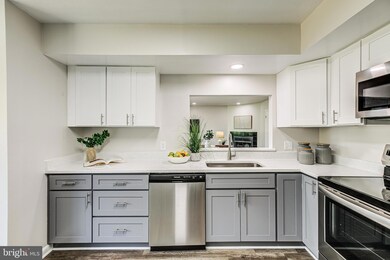 8005 Greenspring Way unit E, Owings Mills, MD 21117 - photo 5