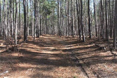 00 Hwy 161 Hwy, Clover, SC 29710 - photo 7