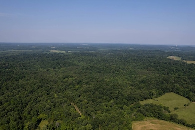 0 Dan Station Rd unit 11546184, Olaton, KY 42361 - photo 4