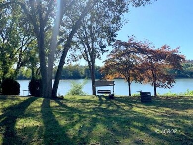 What A View!