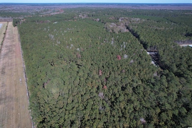 7.90 Acres-TBD Puncheon Creek Dr, Andrews, SC 29510 - photo 2