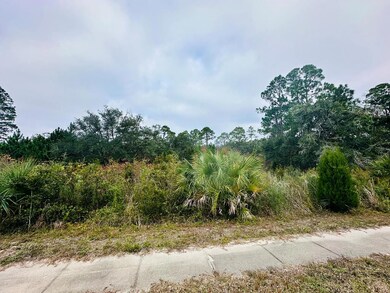 713 Ryan Dr, Carrabelle, FL 32322 - photo 2