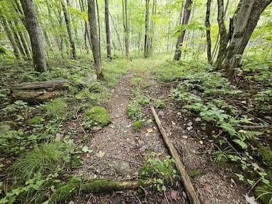 ON Aspen Ln, Phillips, WI 54555 - photo 2