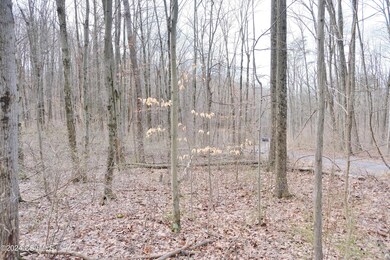 530 Tall Oak Ln, Lewisburg, PA 17837 - photo 4