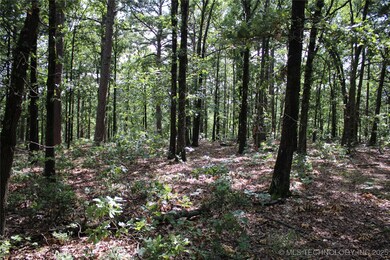 243 S 620 Rd, Jay, OK 74346 - photo 7