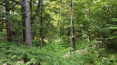 0 Acorn Ln unit 89-16 4814551, Moultonborough, NH 03254 - photo 4