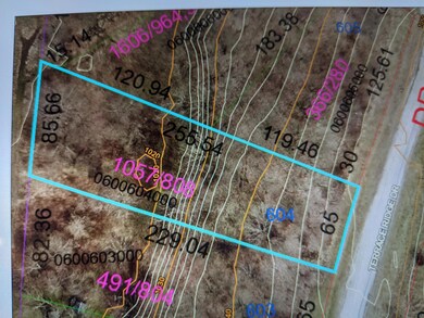 PXL_20210429_102418812