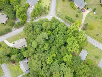 DJI_0010