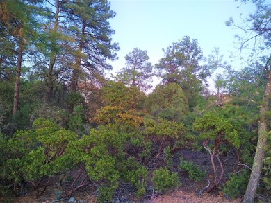 610 N Ponderosa Cir, Payson, AZ 85541 - photo 2