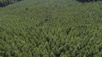 45+/- Ac Noles Rd, Franklin, GA 30217 - photo 2