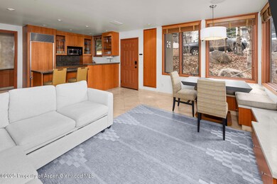 135 Carriage Way unit 26, Snowmass Village, CO 81615 - photo 4