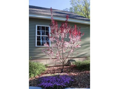 Large Private Yard