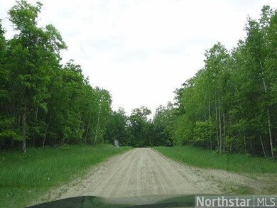 L6, B2 Cardarelle Ct, Hackensack, MN 56452 - photo 7