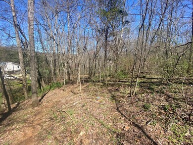 585 S Skeenah Rd, Franklin, NC 28734 - photo 6