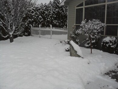 Winter in the Front Yard