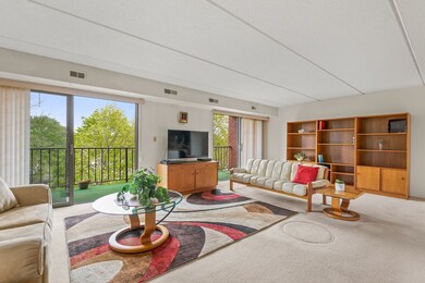 144 Marble St unit 506, Stoneham, MA 02180 - photo 4