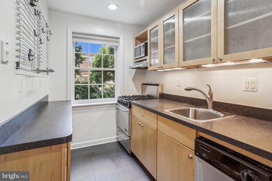 2221 Washington Ave unit 101, Silver Spring, MD 20910 - photo 5