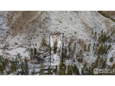 0 Falls Creek Dr unit 1048302, Bellvue, CO 80512 - photo 5