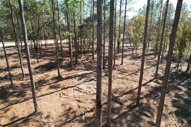 0 NE 93rd Terrace unit MFRO6363163, Archer, FL 32618 - photo 6