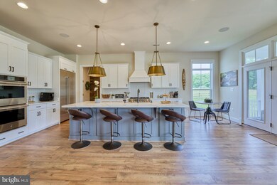 18881 Skyfield Ridge Place, Purcellville, VA 20132 - photo 6