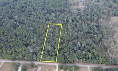 TBD Rd, Conroe, TX 77301 - photo 4