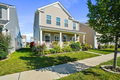 6-web-or-mls-DSC04095