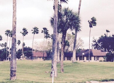 419 Diana Dr, Alamo, TX 78516 - photo 2